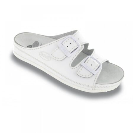 Scholl Airbag